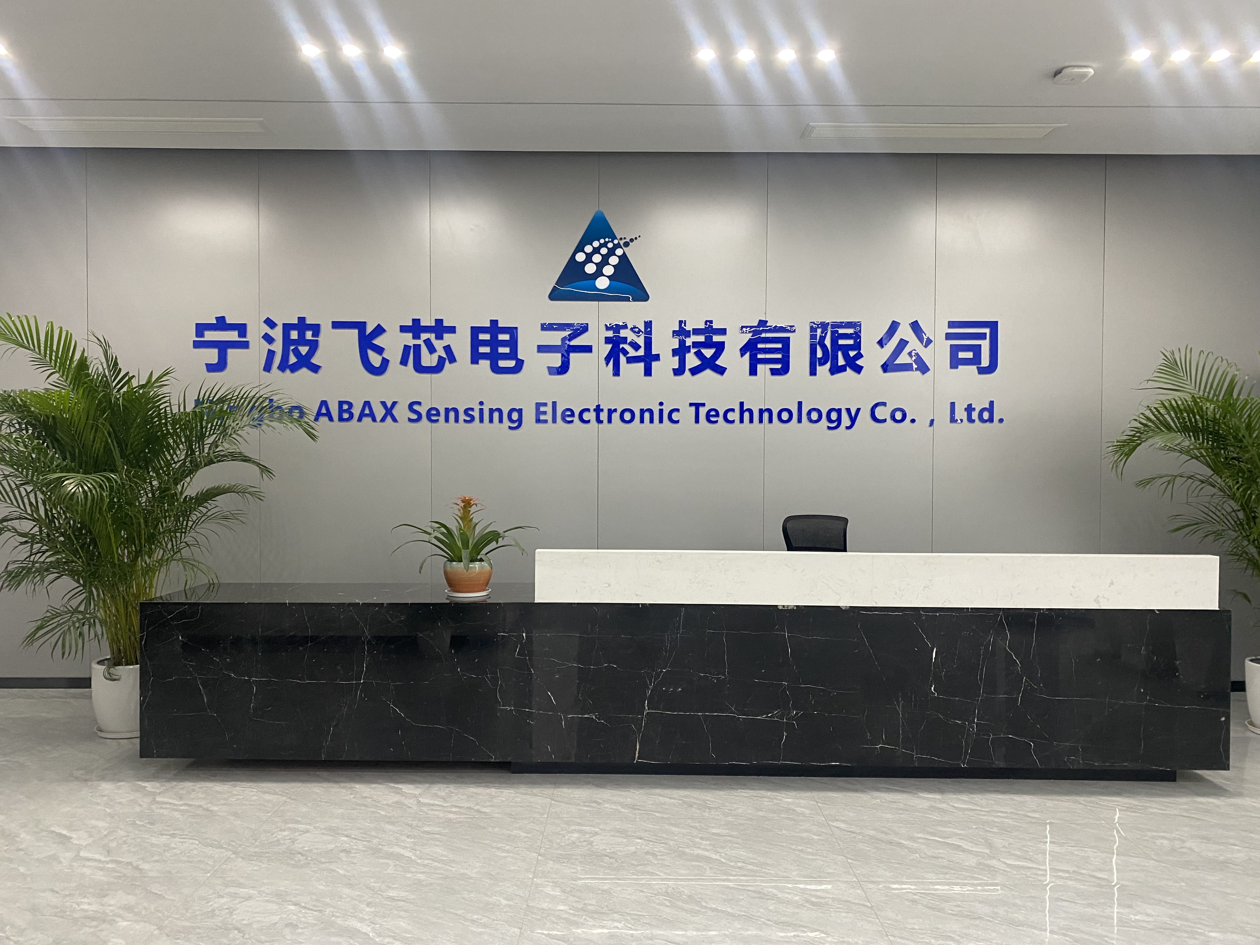 熱烈歡迎奉化區委領導一行走訪飛芯電子調研